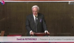 2  - Introduction de M. David de ROTHSCHILD, Président de la Fondation FondaMental - cese
