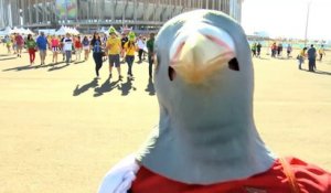 Football - Les supporters chambrent ce "pigeon" de CR7