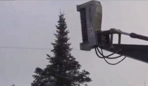 L'incroyable machine qui détruit un arbre en 5 secondes !