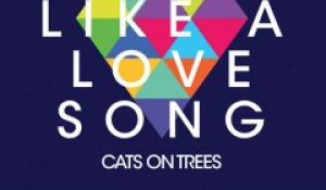 Cats On Trees - Love You Like A Love Song (extrait)