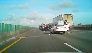 Des poulets partout sur l'autoroute : gros crash d'un camion transportant de la viande!