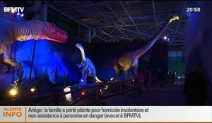 Showbiz: Exposition à Paris: un voyage grandeur nature au monde des dinosaures - 12/07