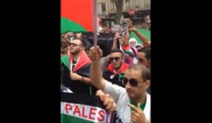 Manifestation pro-Palestine à Lyon