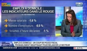 Delphine Liou: Emploi à domicile: un coup de pouce fiscal probablement insuffisant pour relancer le secteur – 22/07