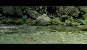 Bande-annonce : Minuscule - La Vallée des Fourmis Perdues - Teaser