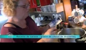 Recette de saison : Gratin de choux de Bruxelles à la normande