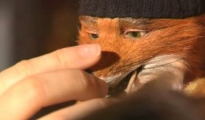 Fantastic Mr Fox VOST - featurette