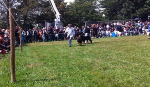 Fête de la chasse et de la pêche à Carrouges