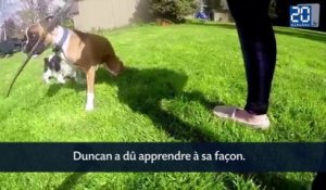 Un chien à deux pattes nouvelle égérie de GoPro