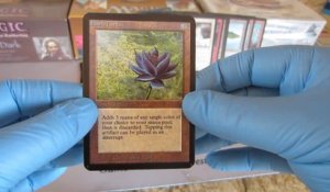Magic : Il découvre la carte Lotus Noir dans son deck