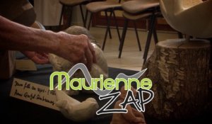 Maurienne Zap N°196