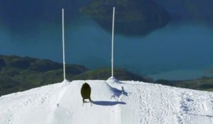 Quand un homme-ballon de rugby géant passe une pénalité sur des skis en Nouvelle-Zélande