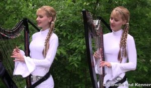 Twins Perform Star Wars Harp Medley