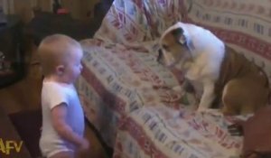 Un bébé dispute un chien...