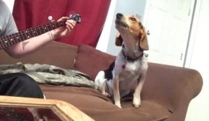 Ce chien chante de la country comme personne !