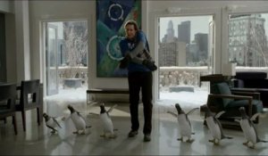 Mr. Popper's Penguins - Teaser (VO)