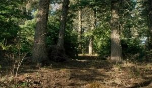 Lone Survivor - Trailer (VO)