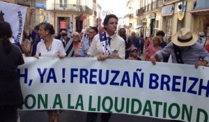 Manifestation pour la Bretagne a cinq