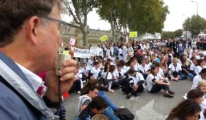 Manifestation des professionels libéraux de santé à Avignon