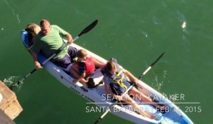 Une otarie grimpe dans le kayak d'une famille en balade... Trop mignon!