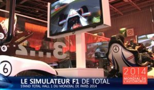 Des simulateurs de conduite F1 au Mondial de l'Auto 2014