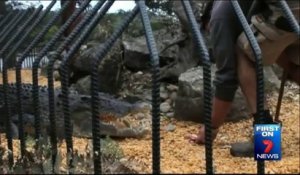 Attaque d'un crocodile au Zoo de Shoalhaven