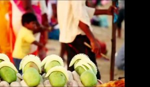 Intha Porapputhan Video Song Prakash Raj Sneha Ilayaraja