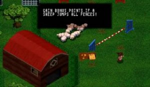 Sheep online multiplayer - psx
