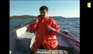 Archives sur la pêche à pied : le homard