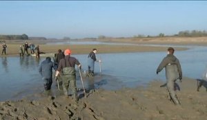 Reportage : 32ème fête du poisson à l'étang de  Lachaussée