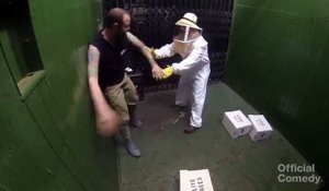 Caméra cachée : il monte dans un ascenseur avec des abeilles et fait une grosse bêtise !