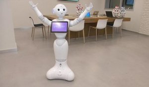 Le succès des robots français à l'étranger