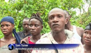 Sierra Leone : amère récolte de cacao