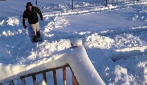 Un chien dans un labyrinthe de neige... Plus futé qu'il n'y parait!