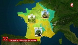Le réchauffement climatique transforme les paysages français