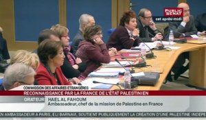 Auditions dans le cadre de la PPR sur la reconnaissance par la France d'un État palestinien - Audition
