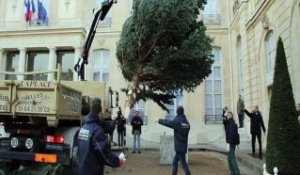 Le sapin de Noël de l'Elysée