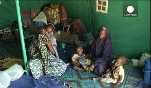 Fuyant le Nigeria face à Boko Haram, nombre de réfugiés se déplacent vers le Niger