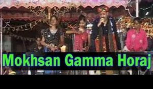 Mokhsan Gamma Horaj - Latest Gujarati Garba 2014 - Ratan Singh Waghela
