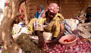 Réussite : Mlouma, une plateforme web au service des producteurs agricoles