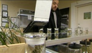 Une étude Terra Nova prône une légalisation du cannabis