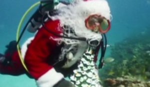Un Père Noël plongeur en Floride - ZAPPING ACTU DU 24/12/2014