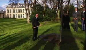 Pelle à la main, François Hollande plante un arbre à l'Elysée