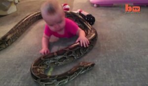 Bébé joue avec un python