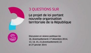 [Questions sur] Le projet de loi portant nouvelle organisation territoriale de la République
