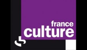 Passage média - J.Thouvenel - France culture