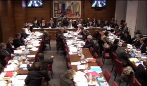 Commission spéciale croissance et activité - Mercredi 14 Janvier 2015