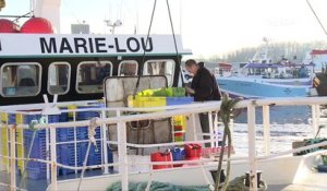 Pêche. Les chalutiers pélagiques interdits de pêche au bar en Manche
