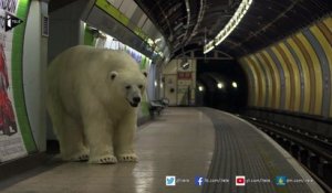 Un "faux" ours polaire en balade dans le métro londonien