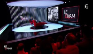 Le Divan de Marc-Olivier Fogiel : Fabrice Luchini et les prostituées